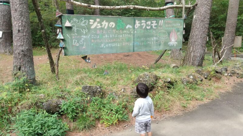 ジュカの森