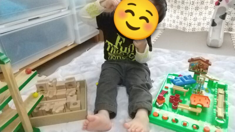 3歳前後が夢中の知育おもちゃ3選【体験レビュー】