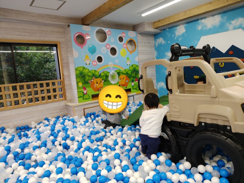 アンダの森 伊豆一碧湖の屋内キッズルームにある広々としたボールプール